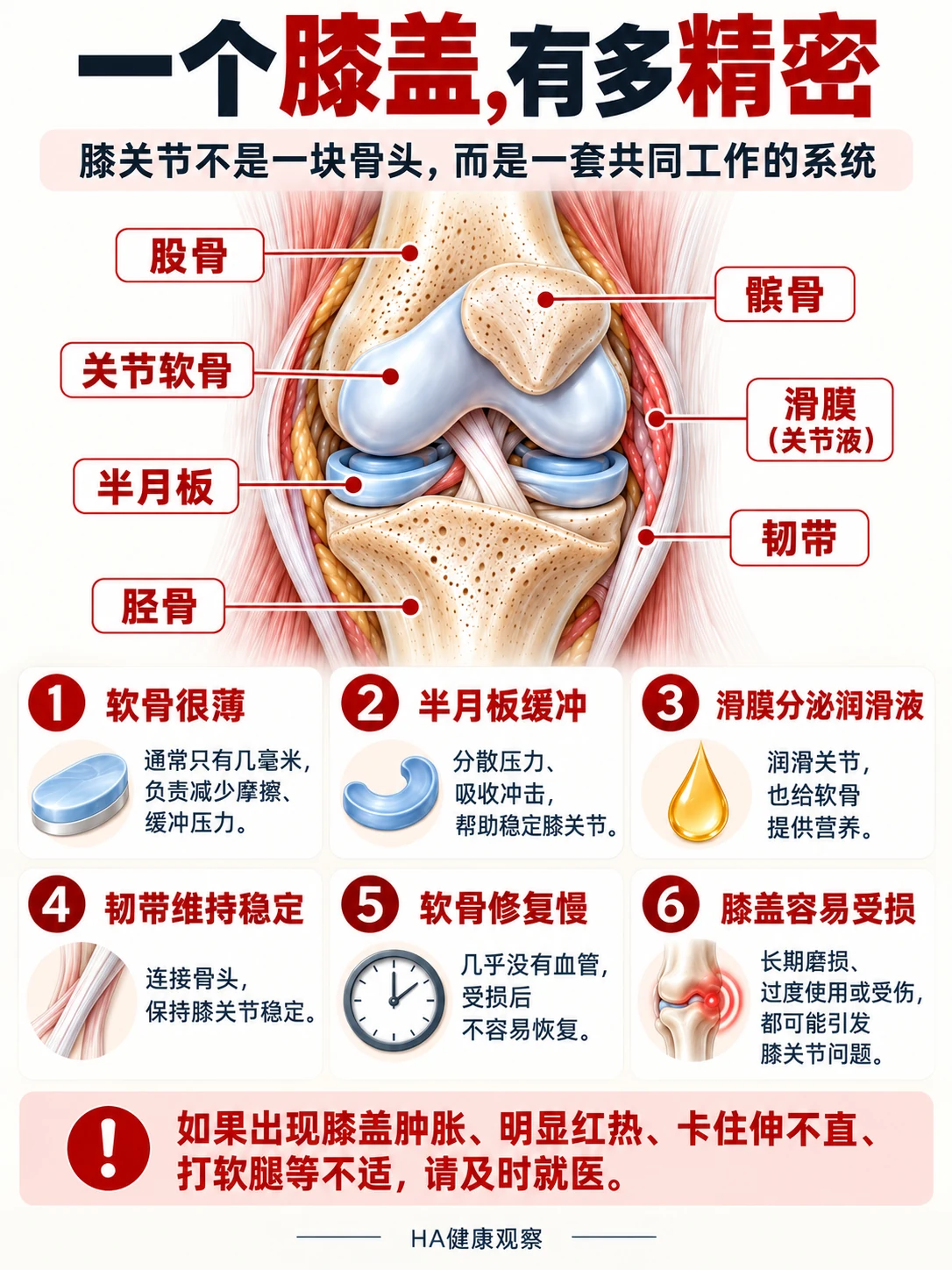 一个膝盖，有多精密？头图
