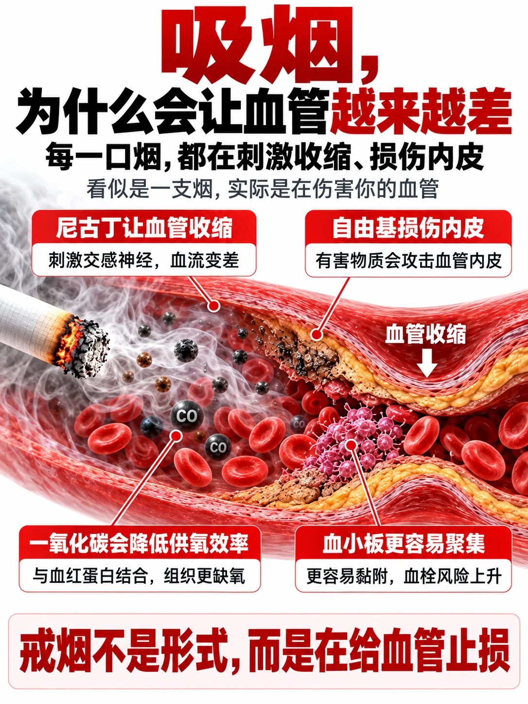 血管管理，不是只看“堵没堵”头图