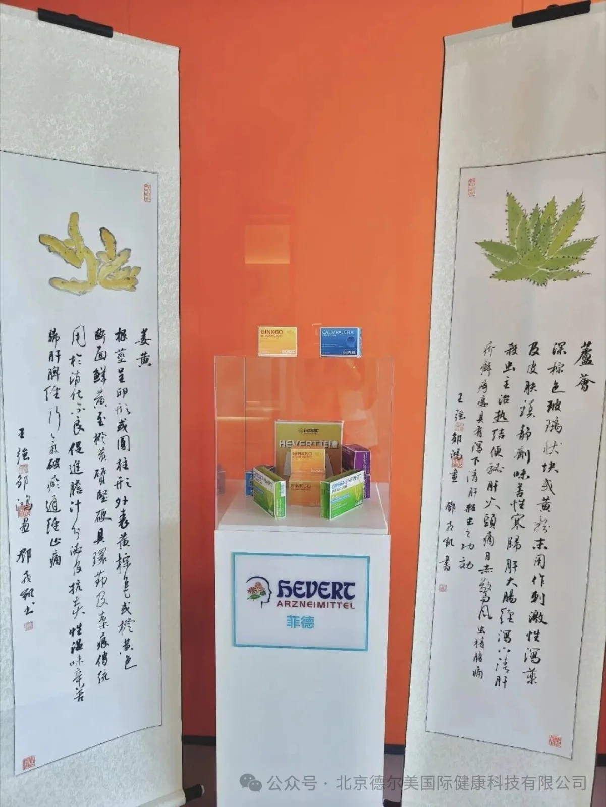 跨越山海的情怀｜菲德非洲之行影像记录配图 2